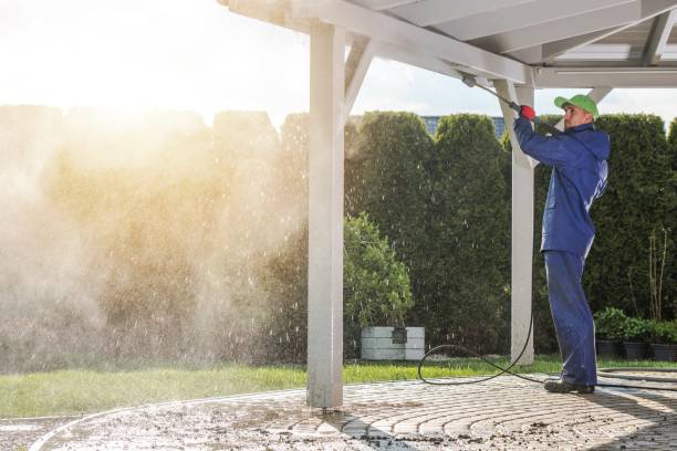 Animal Enclosure Cleaning in Oak Forest, IL